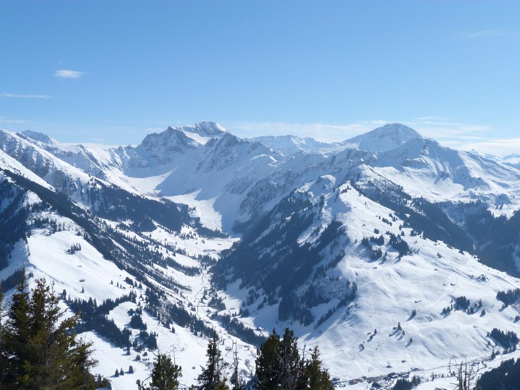 Cliqeu pour voir l'image suivante