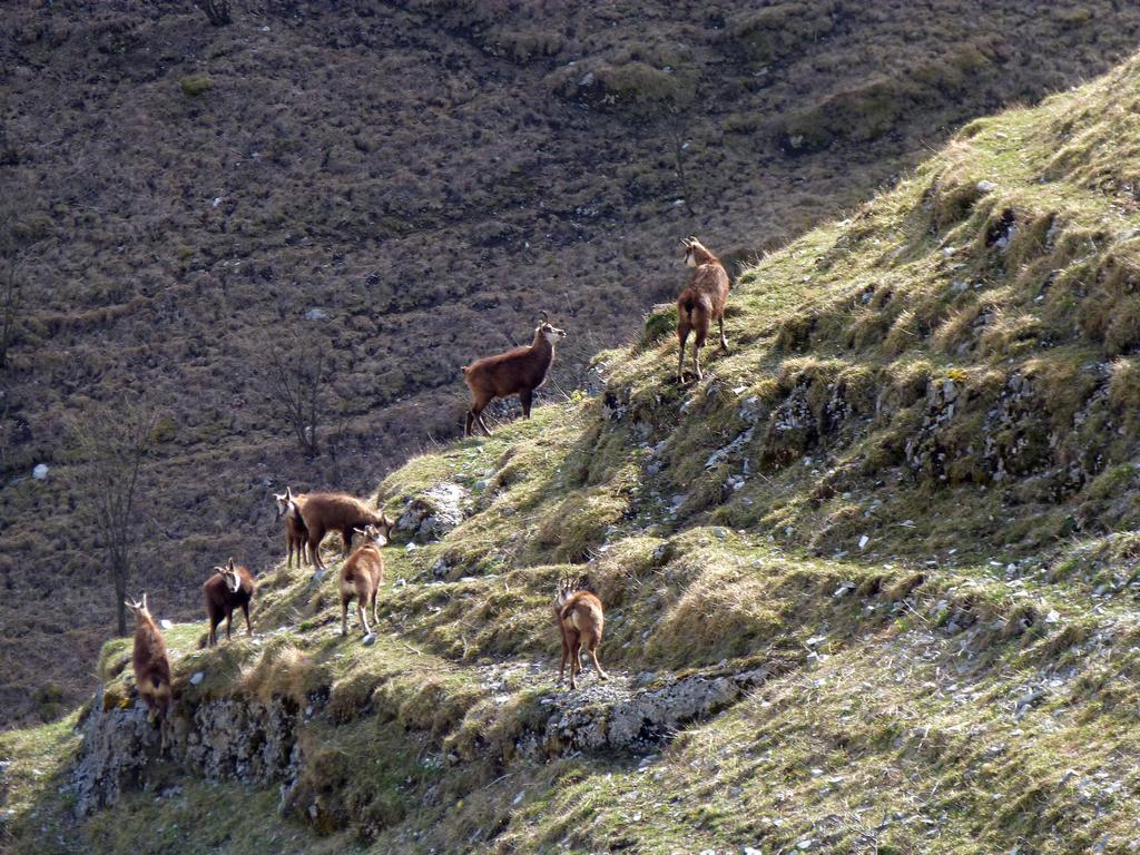 Cliqeu pour voir l'image suivante