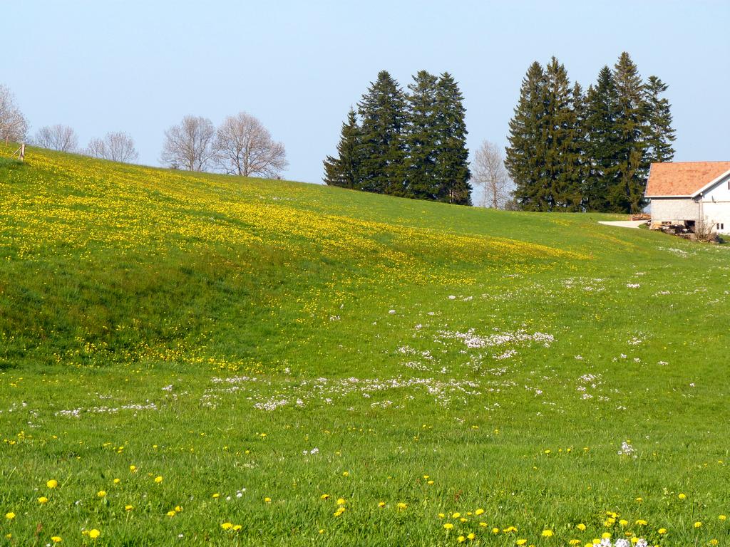 Cliqeu pour voir l'image suivante