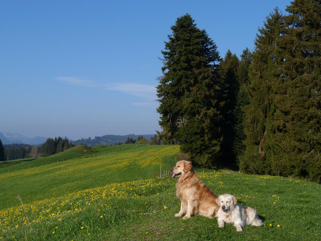 Cliqeu pour voir l'image suivante