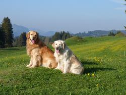 Clic pour agrandir l'image (1024x768 pixels; 137 KB)