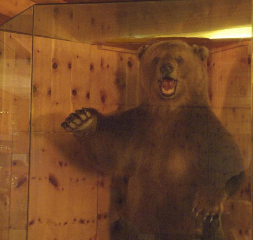 Cliqeu pour voir l'image suivante