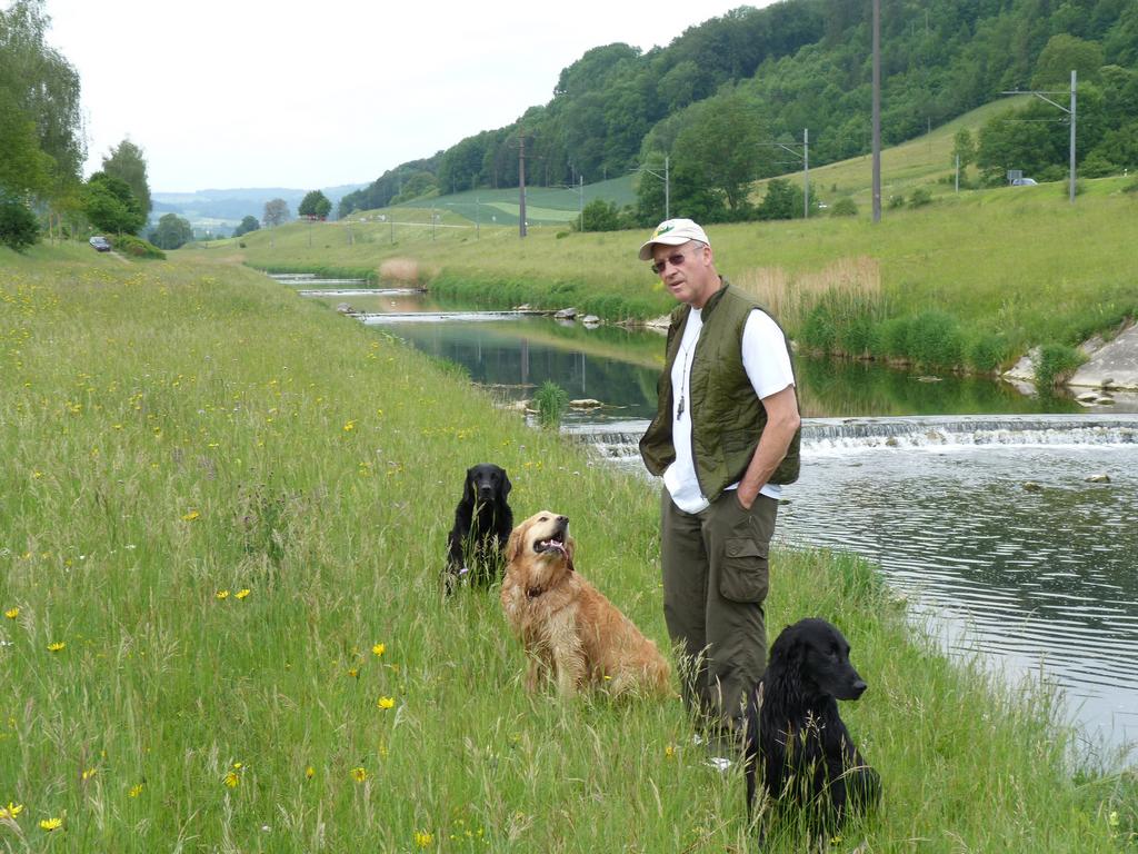 Cliqeu pour voir l'image suivante