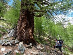 Clic pour agrandir l'image (1024x768 pixels; 247 KB)