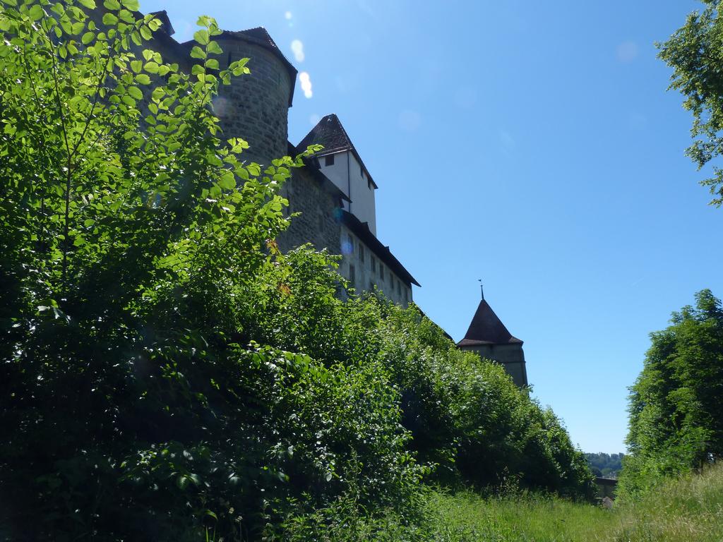 Cliqeu pour voir l'image suivante