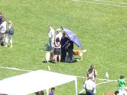 Clic pour agrandir l'image (1024x768 pixels; 133 KB)