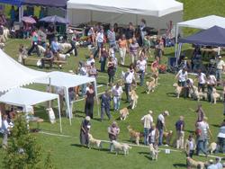 Clic pour agrandir l'image (1024x768 pixels; 160 KB)