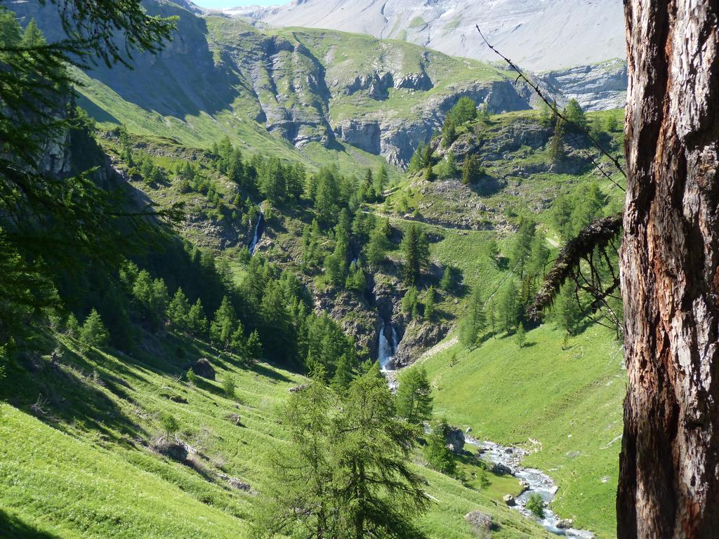 Cliqeu pour voir l'image suivante