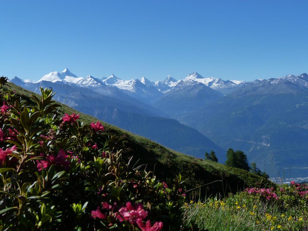 Cliqeu pour voir l'image suivante