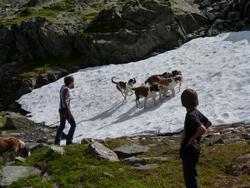 Clic pour agrandir l'image (1024x768 pixels; 156 KB)