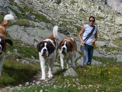 Clic pour agrandir l'image (1024x768 pixels; 167 KB)