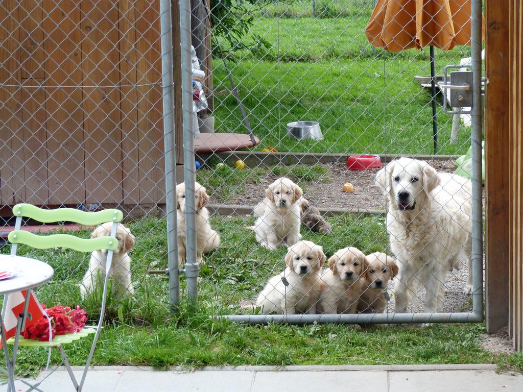 Clic pour l'image suivante