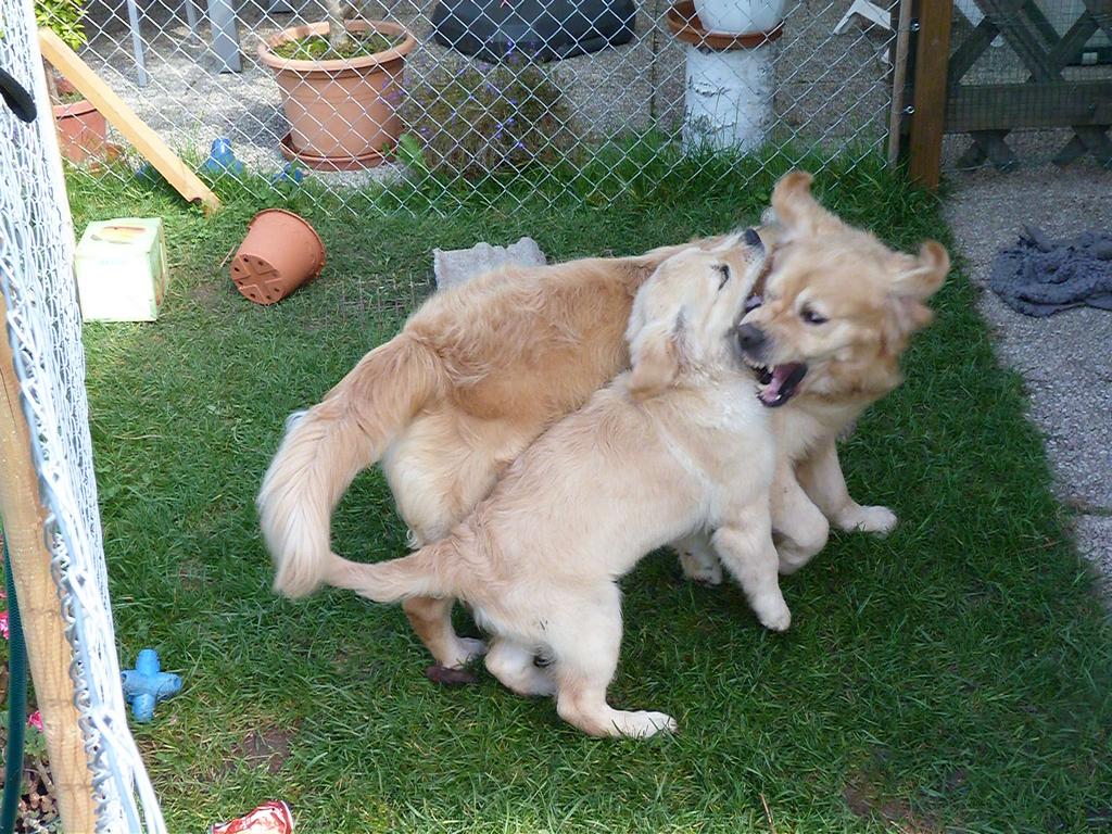 Clic pour l'image suivante