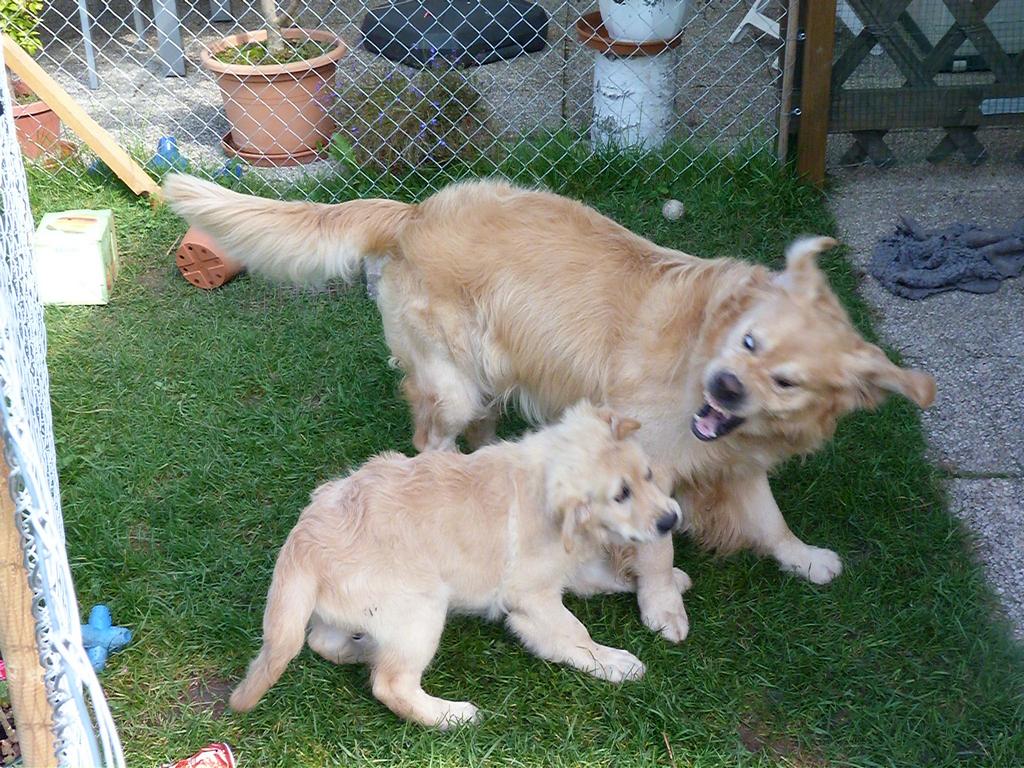 Clic pour l'image suivante