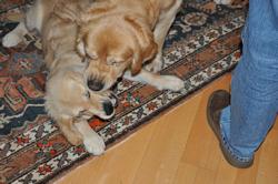 Clic pour agrandir l'image (1024x679 pixels; 93 KB)