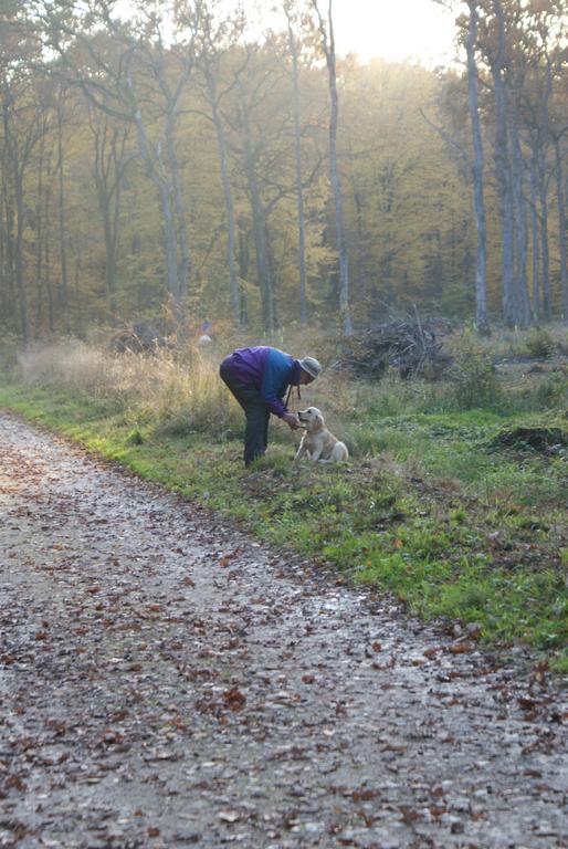 Clic pour l'image suivante
