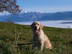 Clic pour agrandir l'image (1024x768 pixels; 142 KB)