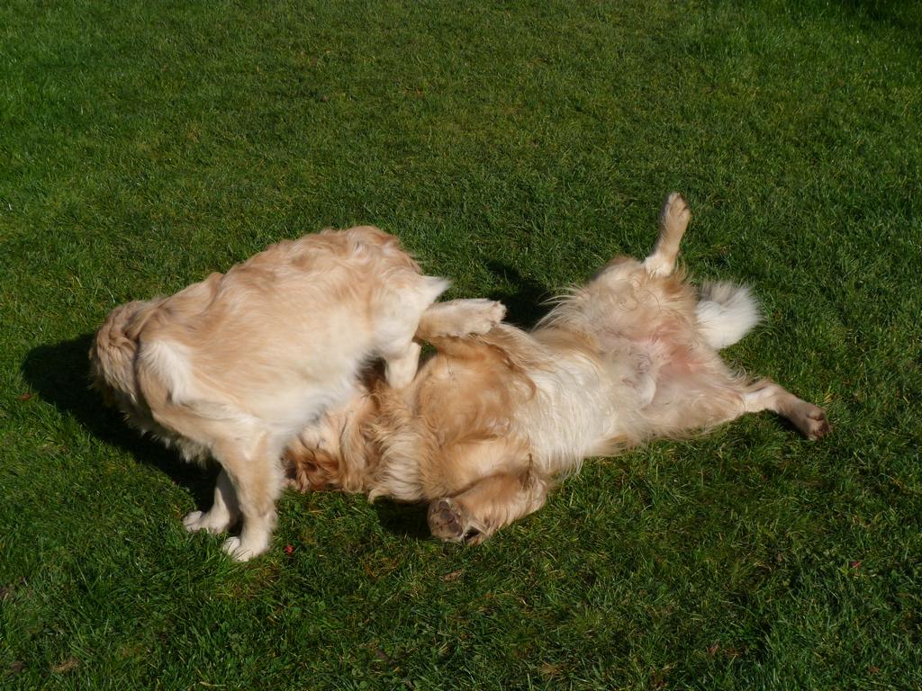 Clic pour l'image suivante