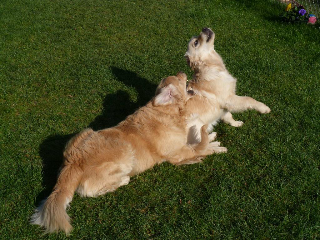 Clic pour l'image suivante