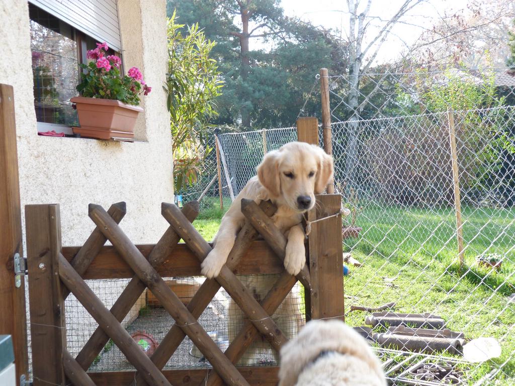 Clic pour l'image suivante