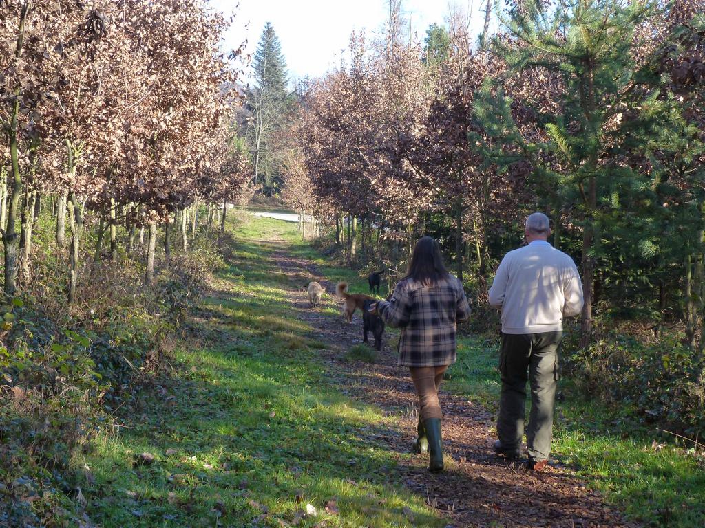 Clic pour l'image suivante