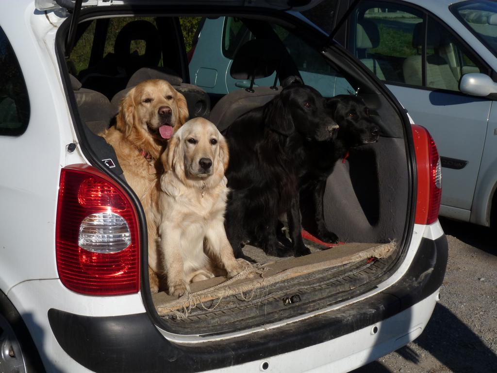 Clic pour l'image suivante