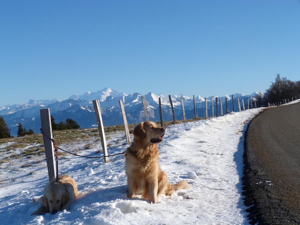 Clic pour l'image suivante