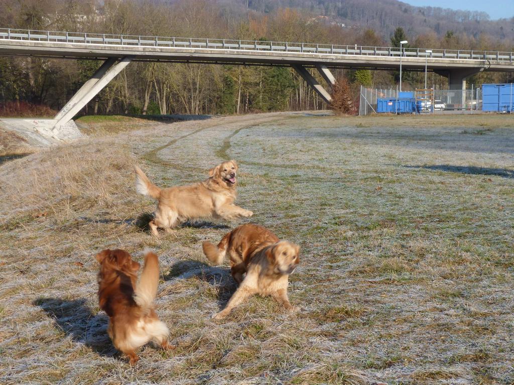 Clic pour l'image suivante