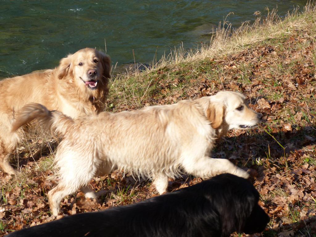 Clic pour l'image suivante