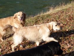 Clic pour agrandir l'image (1024x768 pixels; 155 KB)