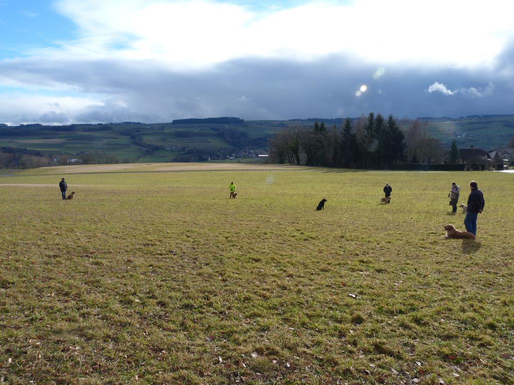 Clic pour l'image suivante