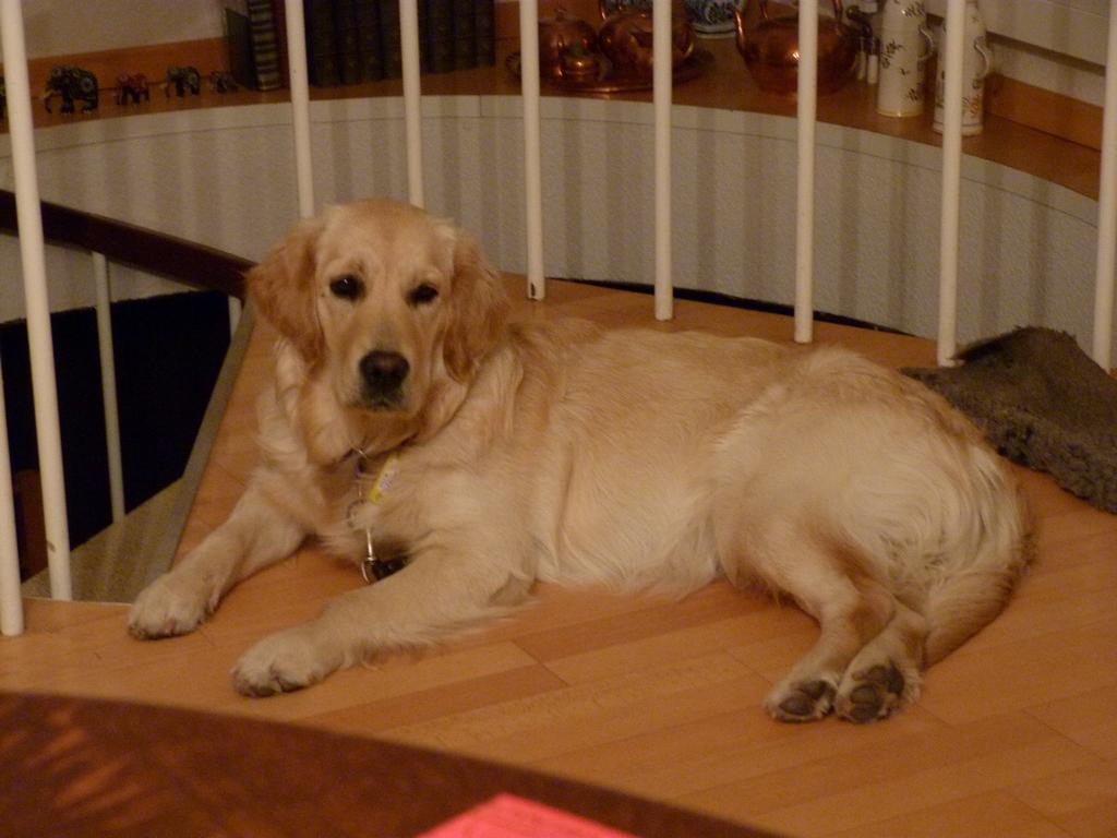 Clic pour l'image suivante