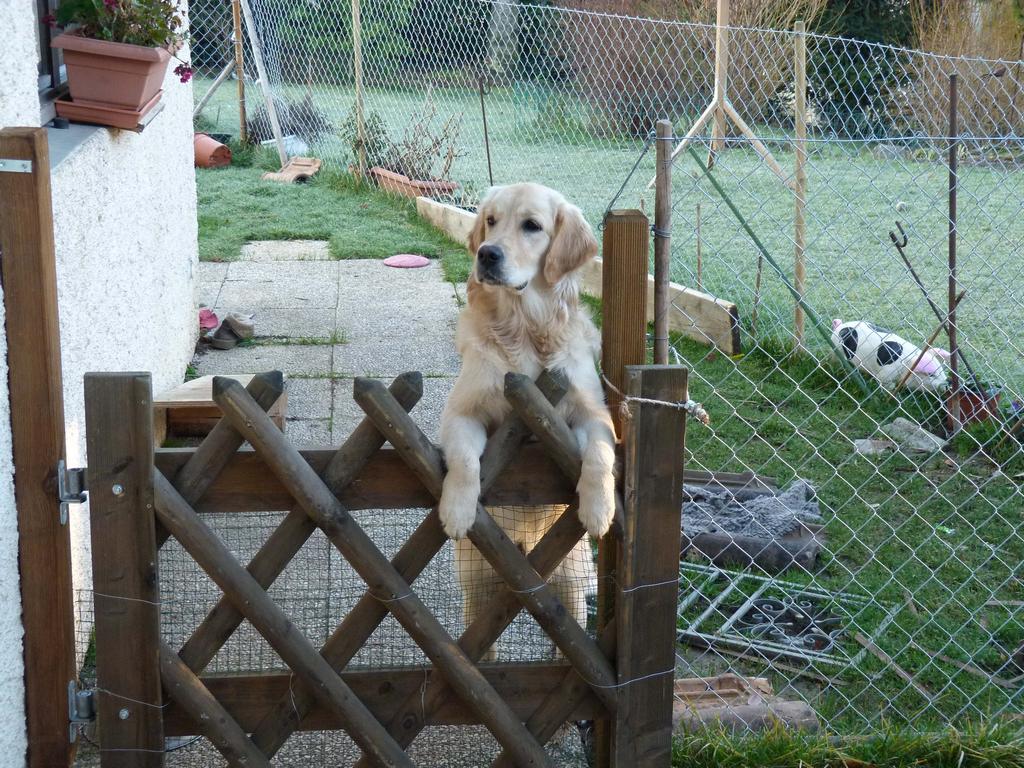 Clic pour l'image suivante