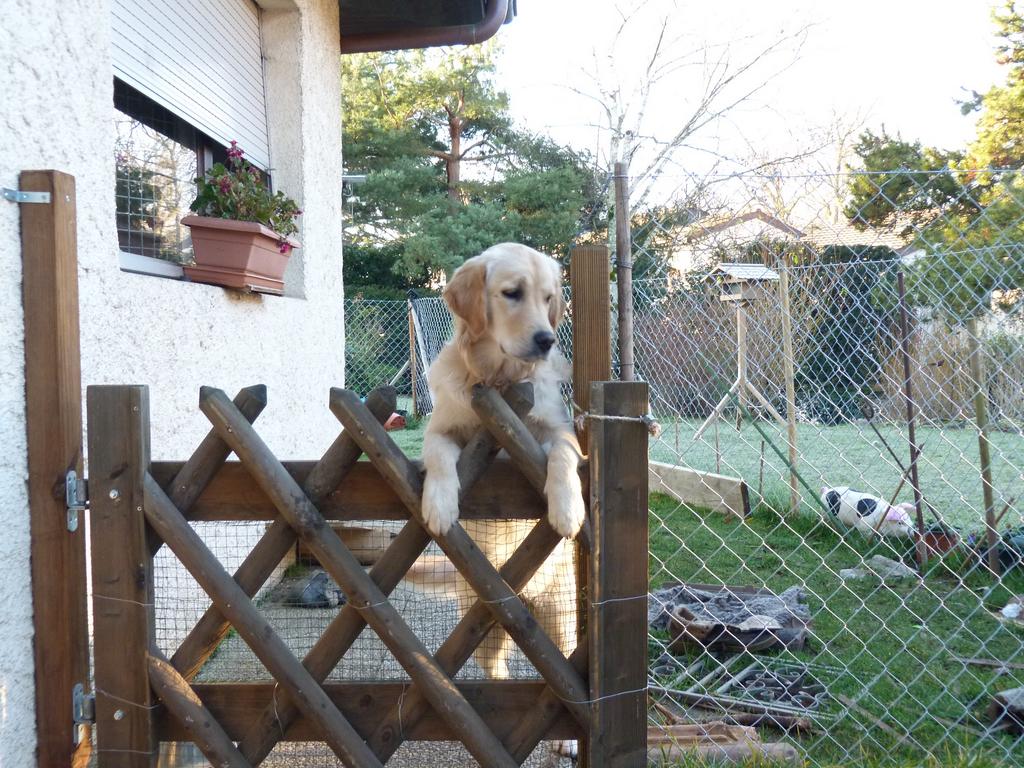 Clic pour l'image suivante