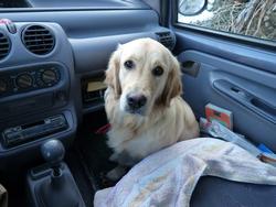 Clic pour agrandir l'image (1024x768 pixels; 107 KB)