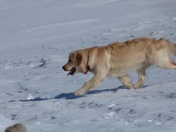 Clic pour agrandir l'image (1024x768 pixels; 75 KB)