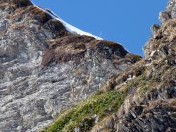 Clic pour agrandir l'image (1024x768 pixels; 188 KB)