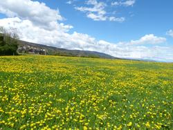 Clic pour agrandir l'image (1024x768 pixels; 190 KB)