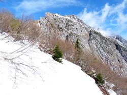 Clic pour agrandir l'image (1024x768 pixels; 160 KB)