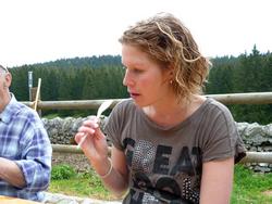 Clic pour agrandir l'image (1024x768 pixels; 126 KB)