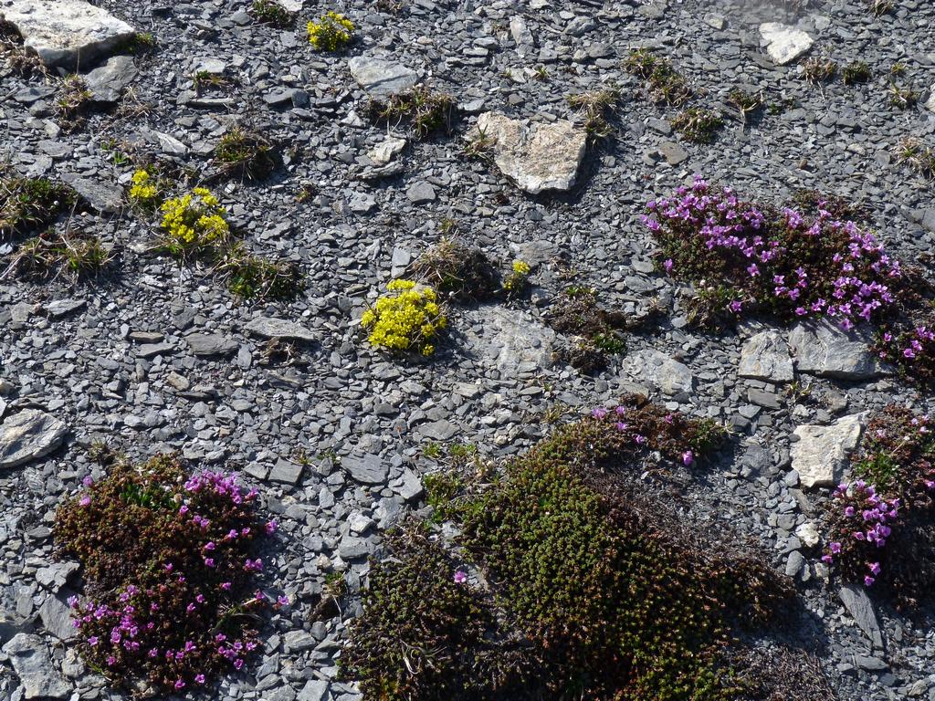 Clic pour l'image suivante