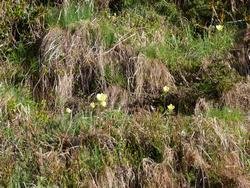 Clic pour agrandir l'image (1024x768 pixels; 300 KB)