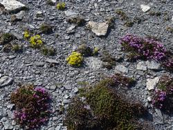 Clic pour agrandir l'image (1024x768 pixels; 302 KB)