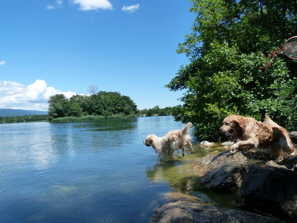 Clic pour l'image suivante