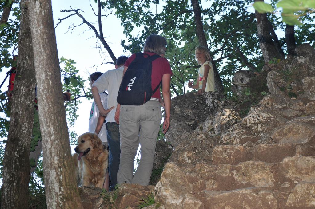 Clic pour l'image suivante