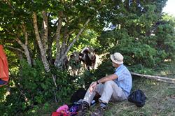 Clic pour agrandir l'image (1024x680 pixels; 199 KB)