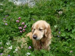 Clic pour agrandir l'image (1024x768 pixels; 217 KB)