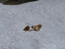 Clic pour agrandir l'image (1024x768 pixels; 77 KB)