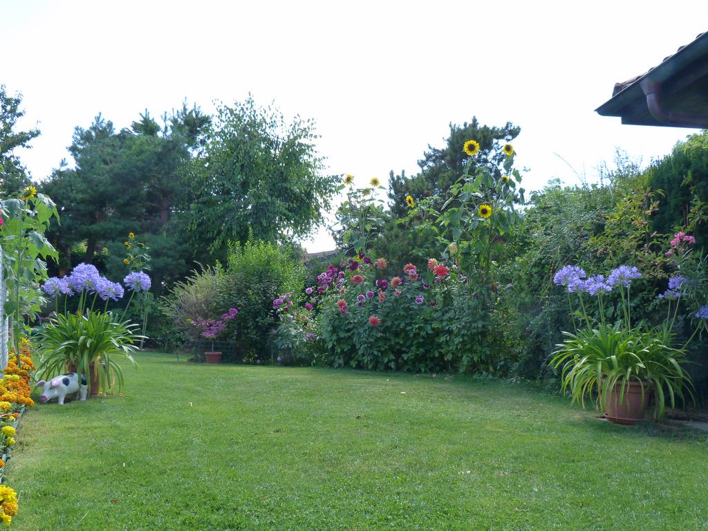 Clic pour l'image suivante