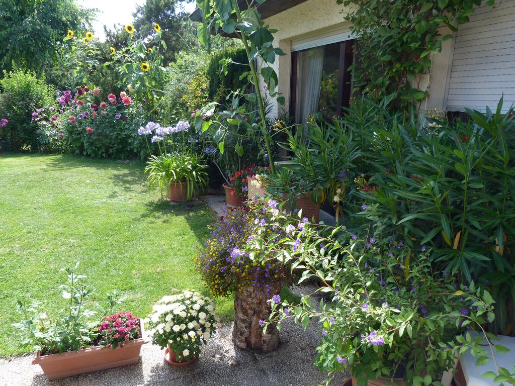 Clic pour l'image suivante